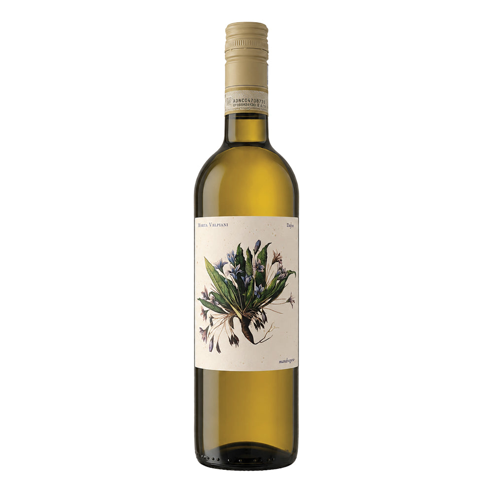 Delyus Romagna Albana DOCG 2024 Marta Valpiani