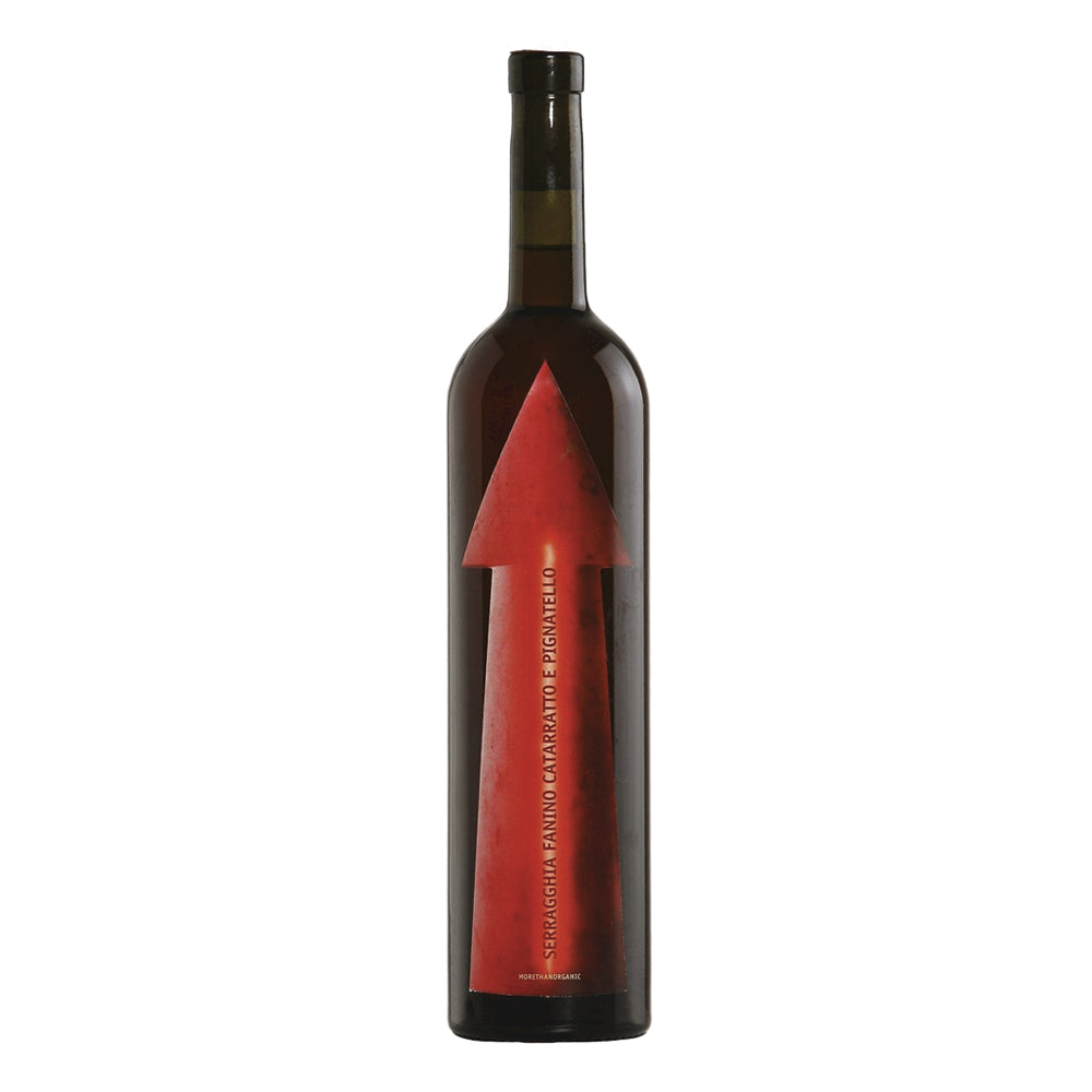 Fanino Serragghia 2023 Giotto Bini