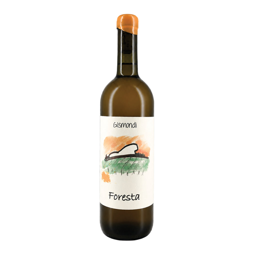 Foresta 2024 Antonio Gismondi
