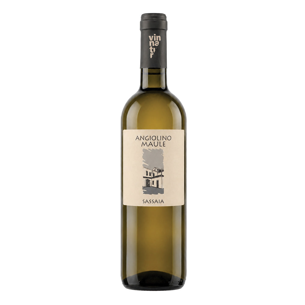 Sassaia - Garganega Veneto IGT 2023 La Biancara di Angiolino Maule