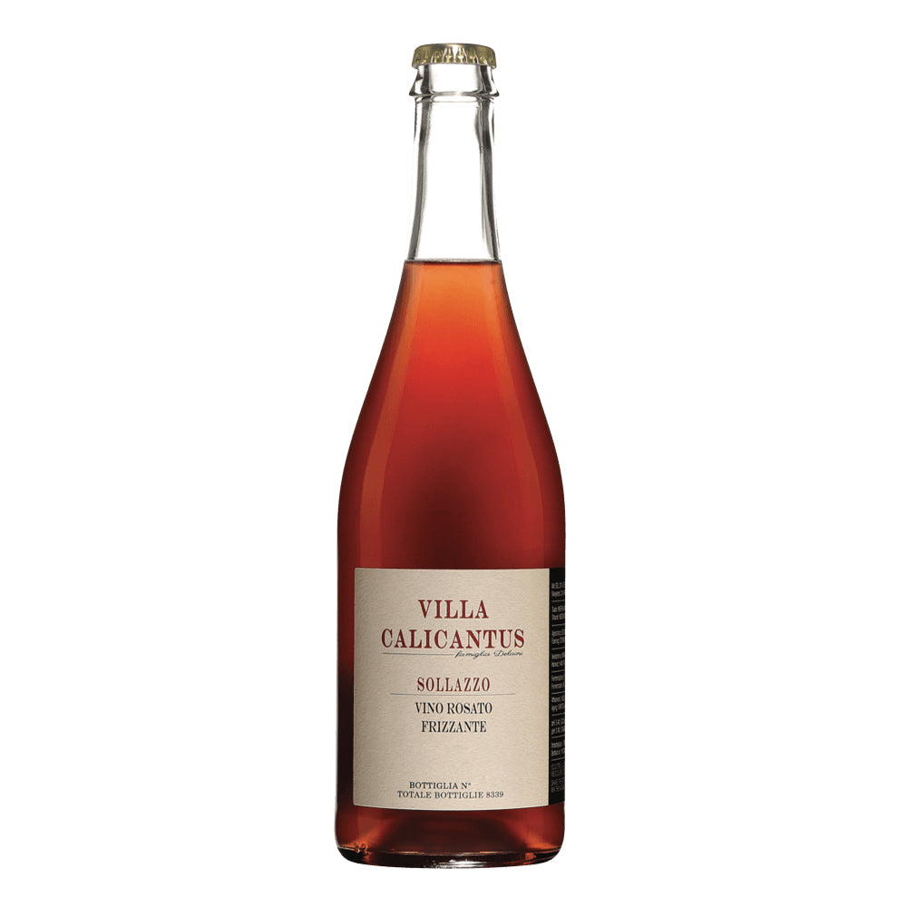 Sollazzo - Rosato Frizzante 2023 Villa Calicantus
