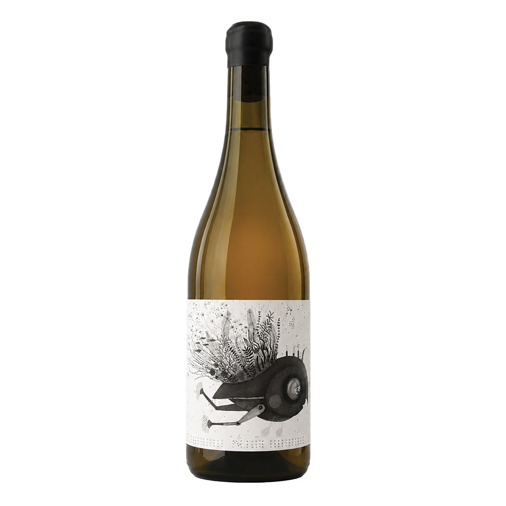 Trebbiano Colli Aprutini IGT 2022 Podere San Biagio