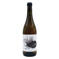 Trebbiano - Orange Colli Aprutini IGT 2022 Podere San Biagio