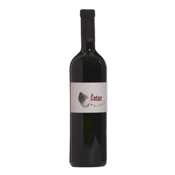 Merlot 2011 Cotar