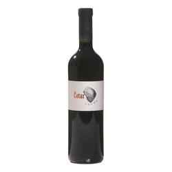 Terrano 2019 Cotar