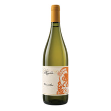 Biancomai Vino Bianco 2023 Meggiolaro