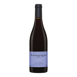 Bourgogne Rouge 2022 Sylvain Pataille