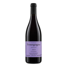Bourgogne Rouge 2023 Sylvain Pataille
