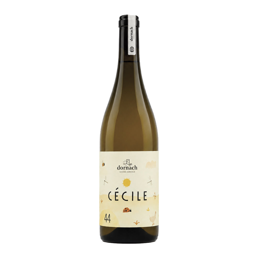 Cecile Bianco 2024 Dornach Patrick Uccelli