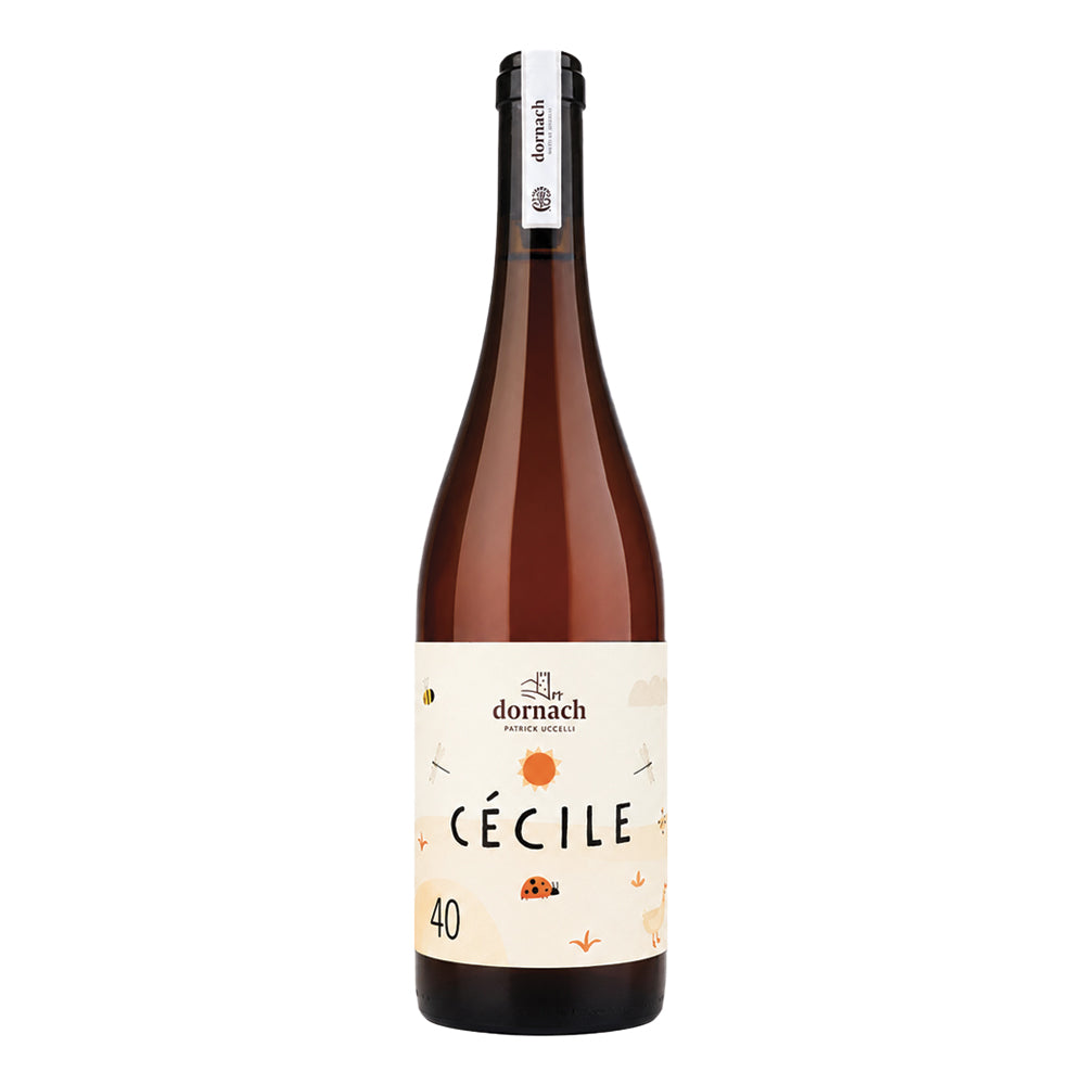 Cecile Souvignier Gris - Mitterberg IGT 2024 Dornach Patrick Uccelli