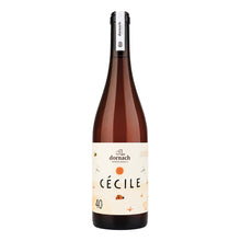 Cecile Souvignier Gris - Mitterberg IGT 2024 Dornach Patrick Uccelli
