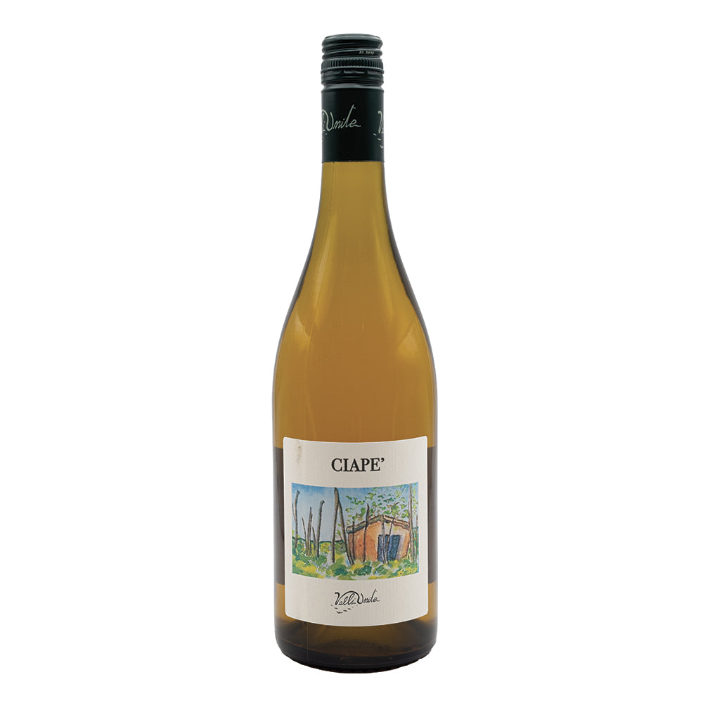 Ciapè - Cortese Colli Tortonesi DOC 2023 Cantina Valli Unite