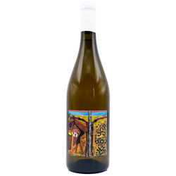 Indisena - Chardonnay 2024 La Caneva di Botter