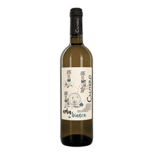 Erba Bianca - Fiano Campania IGT 2022 Cautiero