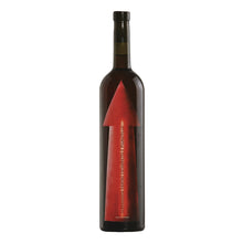 Fanino Serragghia 2023 Giotto Bini