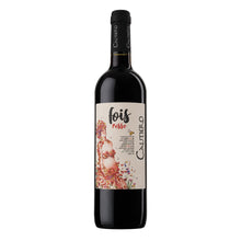 Fois - Aglianico Campania IGT 2022 Cautiero