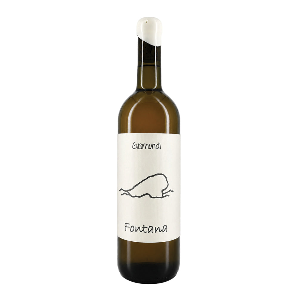 Fontana Falanghina 2024 Antonio Gismondi