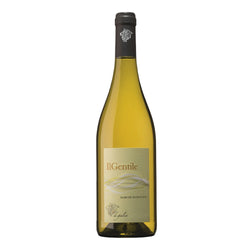 Il Gentile - Verdicchio Marche Bianco IGT 2023 Di Giulia
