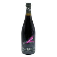 Lambrusco dell'Emilia IGT 2024 Camillo Donati