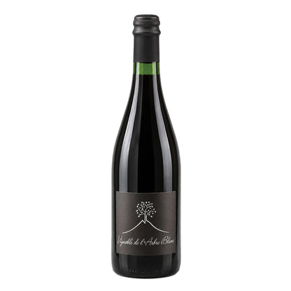Les Orgues Vent 2325 Vignoble de l'Arbre Blanc