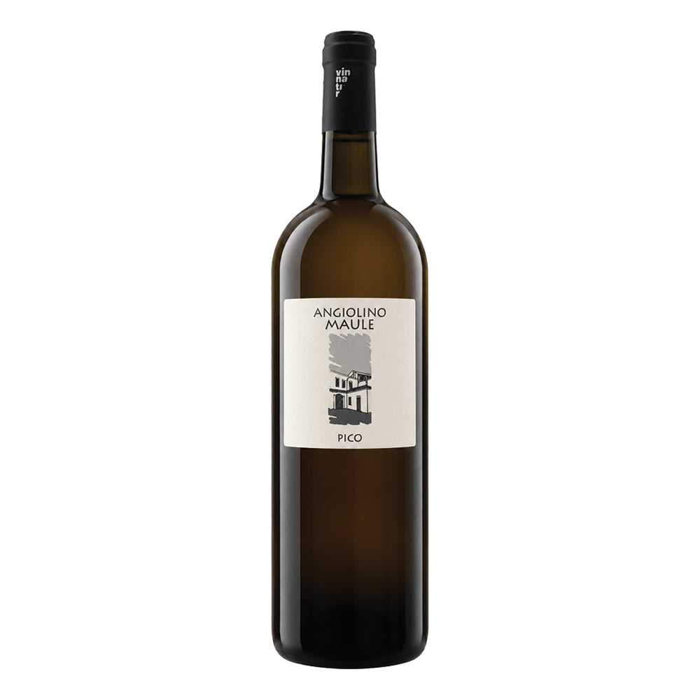 MAGNUM Pico - Garganega Veneto IGT 2022 La Biancara di Angiolino Maule