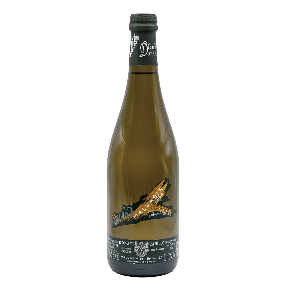 Malvasia Dell'Emilia IGT 2024 Camillo Donati