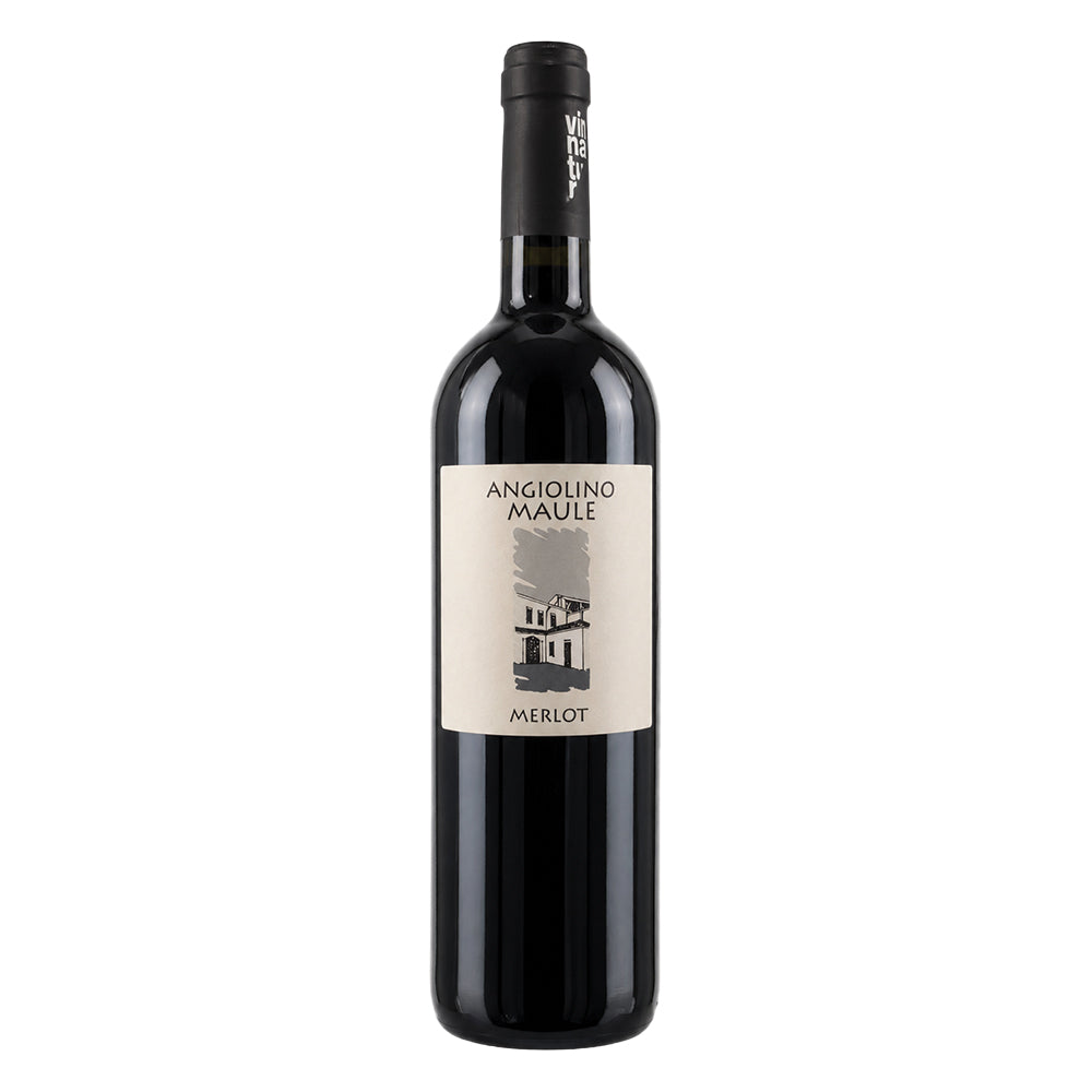 Merlot - Rosso Veneto IGT 2022 La Biancara di Angiolino Maule