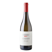 Mille - Rosso Roccamonfina IGT 2024 I Cacciagalli