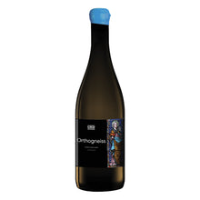 Orthogneiss - Muscadet Vin De France 2023 Domaine De l'Ecu