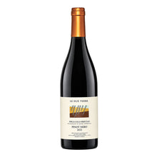Pinot Nero Friuli Colli Orientali DOC 2022 Le Due Terre