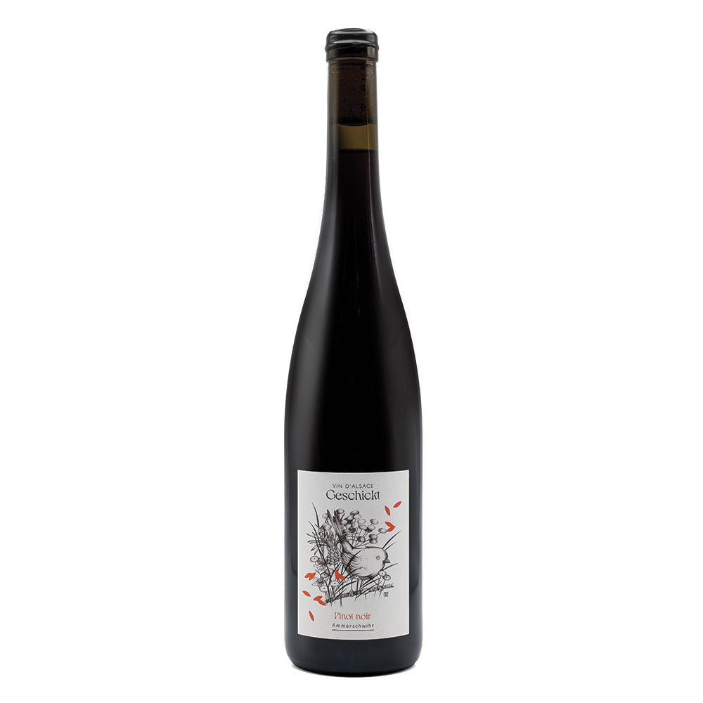Pinot Noir Alsace AOC 2023 Geschickt