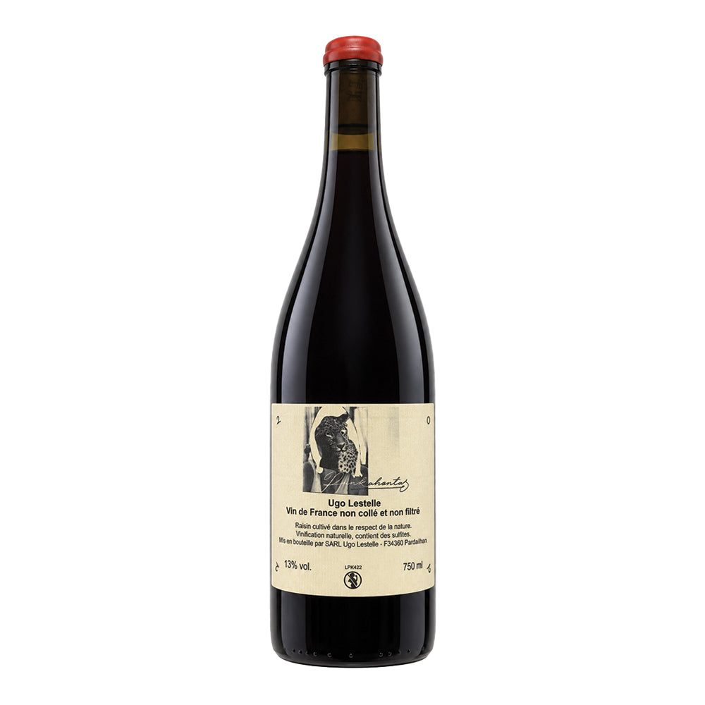 Punkahontas Syrah 2022 Ugo Lestelle