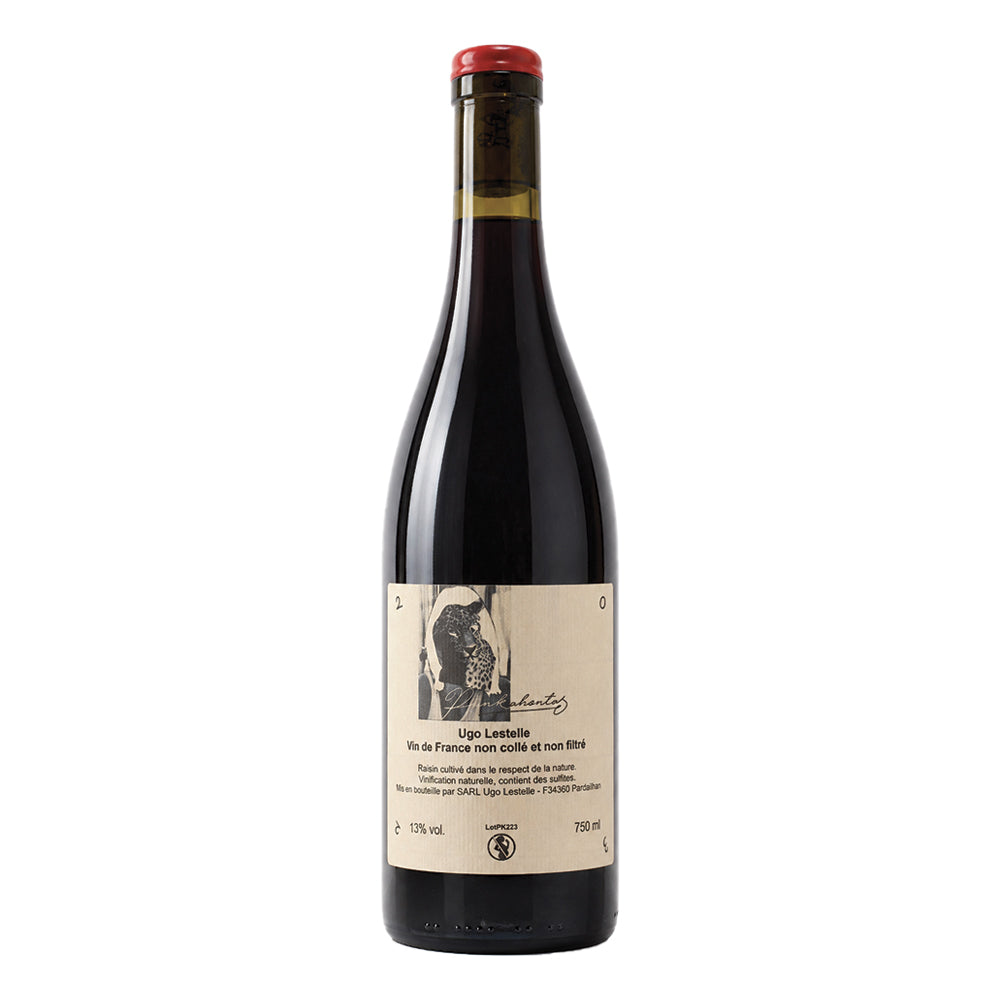 Punkahontas Syrah 2023 Ugo Lestelle