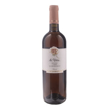 Rosato di Vera 2023 Fattoria San Lorenzo