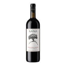 Rosso della Gobba Umbria IGT 2024 Raìna