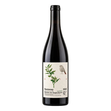 Santenay 2022 Domaine des Rouges Queues