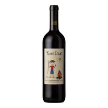 Testa Calda - Rosso Veronese IGT 2020 Terre di Pietra