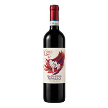 Valpolicella Ripasso Classico DOC 2018 Terre di Gnirega