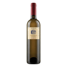 Vitovska 2023 Vinogradi Fon
