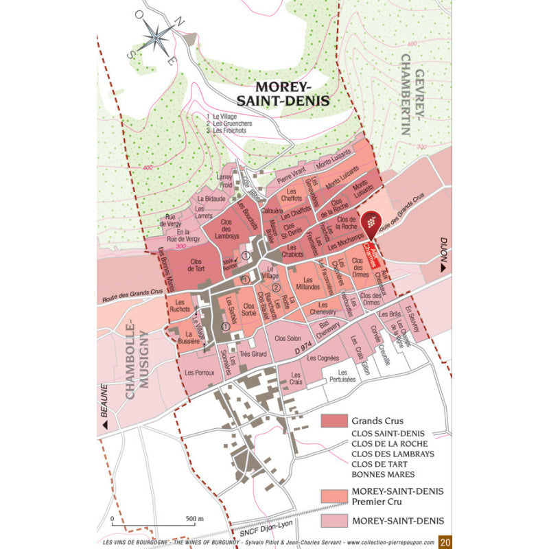 Morey-Saint-Denis 1er Cru Aux Charmes 2022 Domaine Didier Amiot