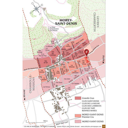 Morey-Saint-Denis 1er Cru Aux Charmes 2022 Domaine Didier Amiot