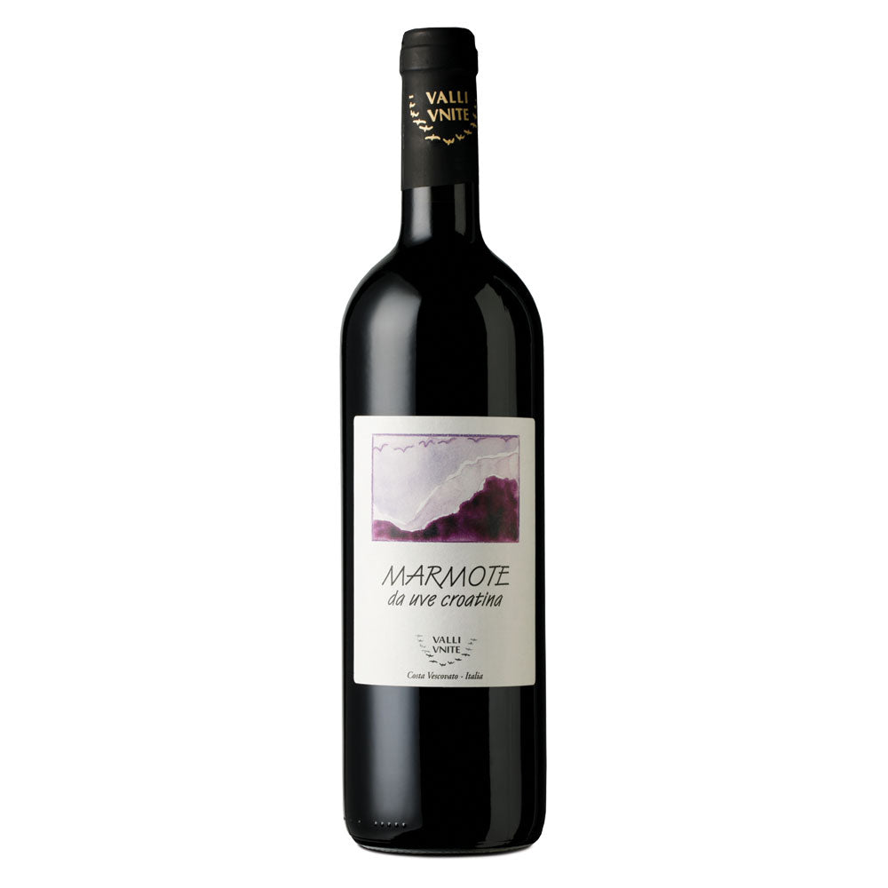 Marmote - Colli Tortonesi D.O.C. Rosso 2016 Cantina Valli Unite - Wivood 