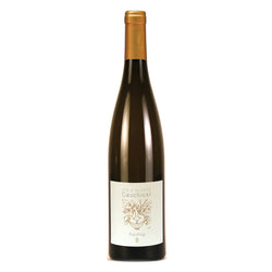 Riesling - Alsace AOC 2023 Geschickt