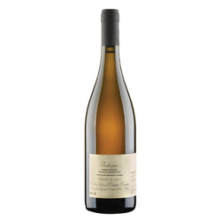 Terbianc - Trebbiano dell’Emilia IGP 2022 Cinque Campi