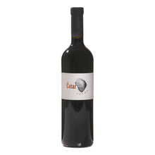 Terrano 2019 Cotar
